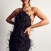 Millie Premium Feather Detail Mini Dress -Dress Sales Store black millie premium feather detail mini dress